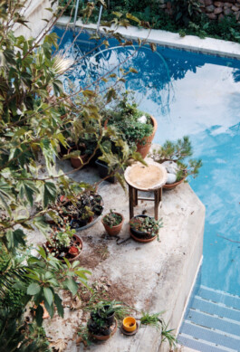 Irene Sierra Studio Graphic Design and Art Direction