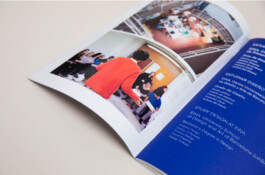 Irene Sierra Studio Graphic Design and Art Direction