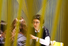 Irene Sierra Studio Graphic Design and Art Direction