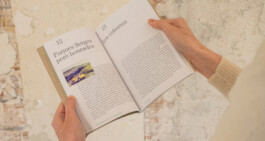 Irene Sierra Studio Graphic Design and Art Direction