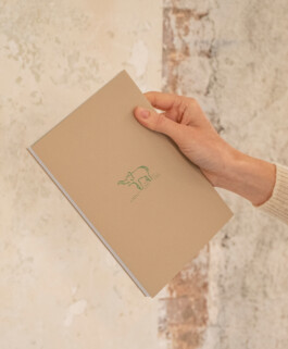 Irene Sierra Studio Graphic Design and Art Direction