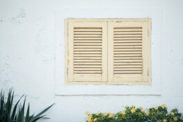 Irene Sierra Studio Graphic Design and Art Direction