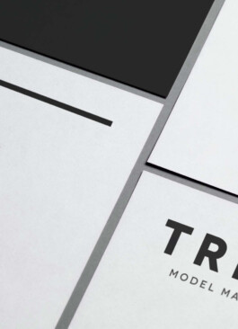  Irene Sierra Studio Graphic Design and Art Direction