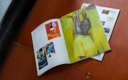 Irene Sierra Studio Graphic Design and Art Direction