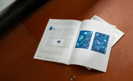 Irene Sierra Studio Graphic Design and Art Direction