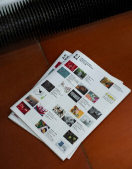 Irene Sierra Studio Graphic Design and Art Direction