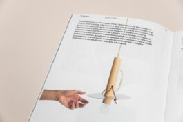 Irene Sierra Studio Graphic Design and Art Direction