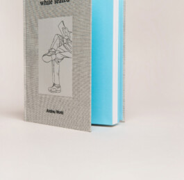 Irene Sierra Studio Graphic Design and Art Direction