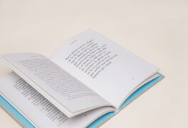 Irene Sierra Studio Graphic Design and Art Direction