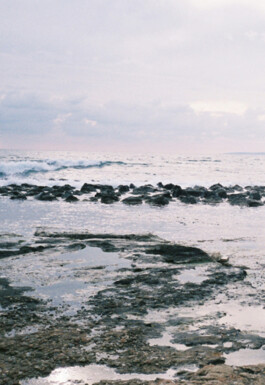 Irene Sierra Studio Graphic Design and Art Direction