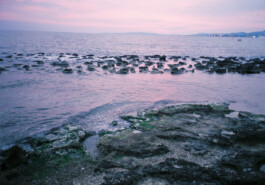 Irene Sierra Studio Graphic Design and Art Direction