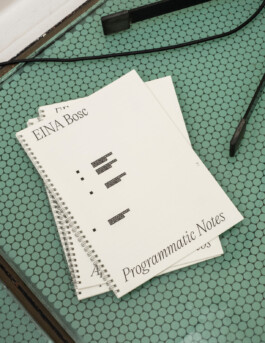  Irene Sierra Studio Graphic Design and Art Direction