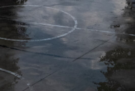 Irene Sierra Studio Graphic Design and Art Direction