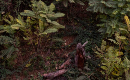 Irene Sierra Studio Graphic Design and Art Direction