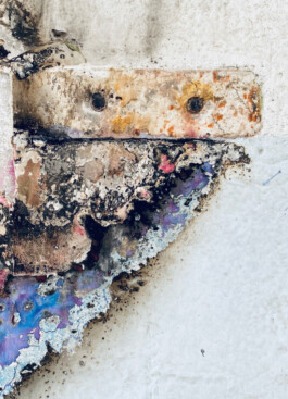 Irene Sierra Studio Graphic Design and Art Direction