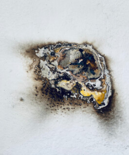 Irene Sierra Studio Graphic Design and Art Direction